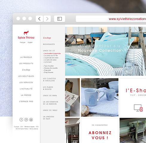 Capture de la deuxième version du site Sylvie Thiriez.